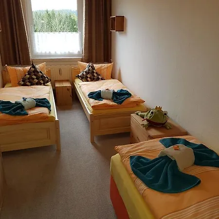 Apartman Ferienwohnung-weitersglashuette Eibenstock
